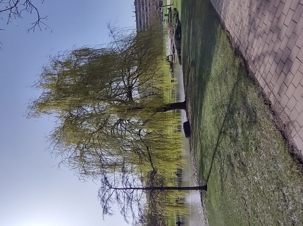 No s'ha  trobat l'arxiu